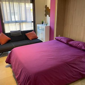 Studio met een Queen Size Bed